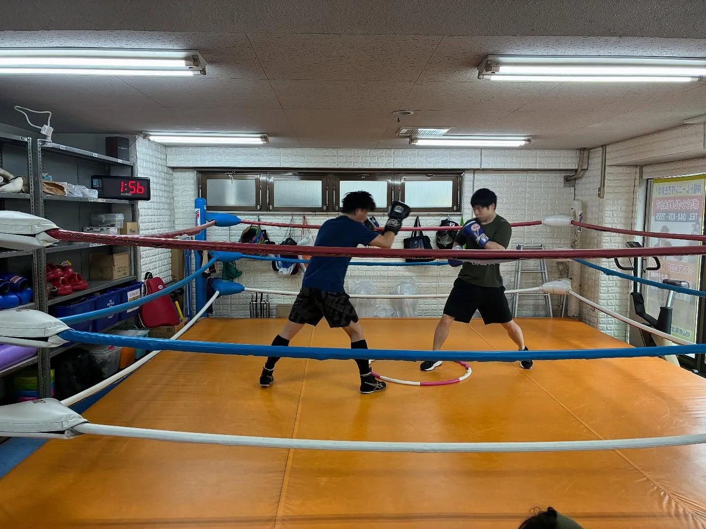 マスボクシング