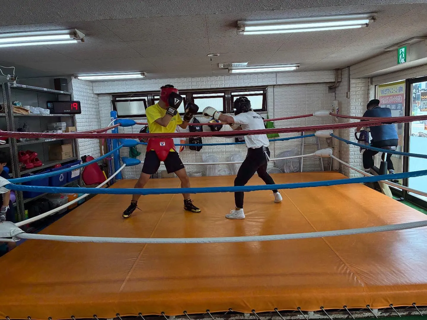 マスボクシング