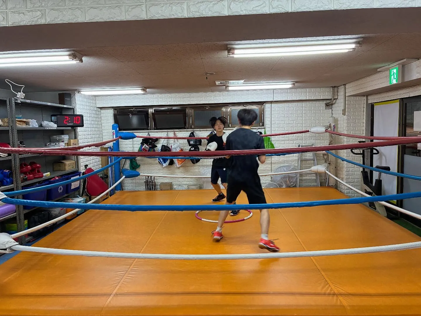 マスボクシング