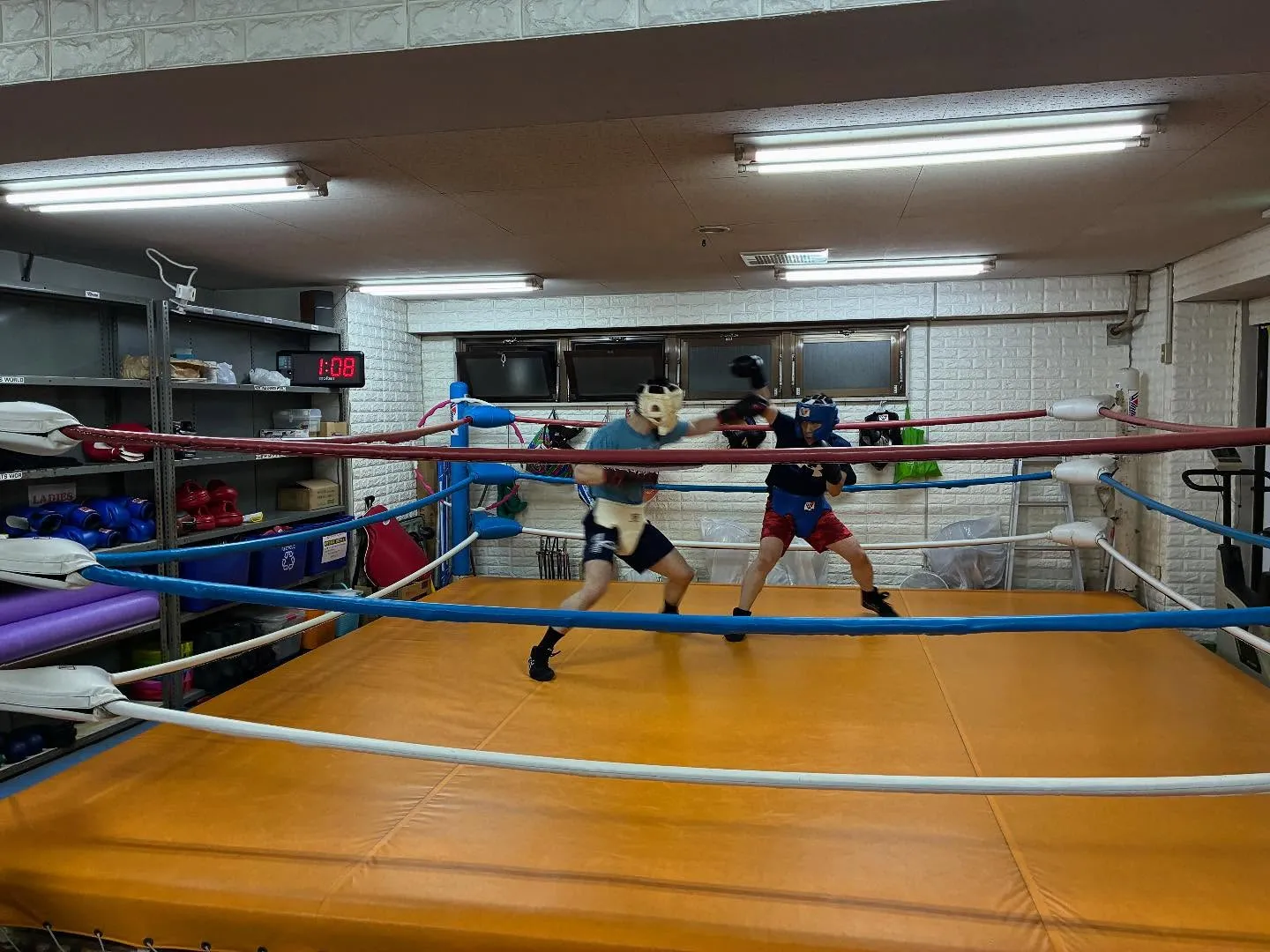 マスボクシング