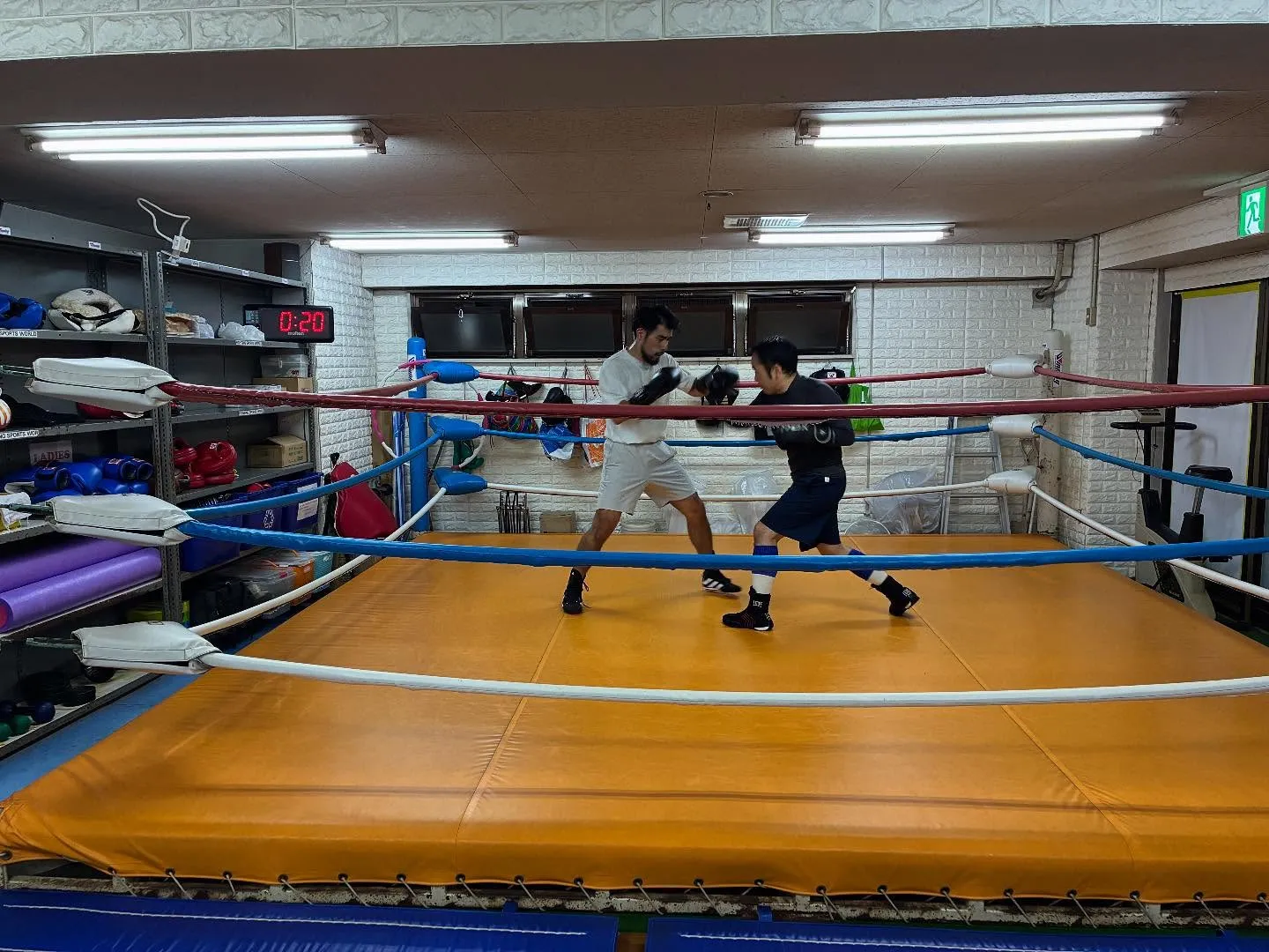 ボクシングディフェンス練習