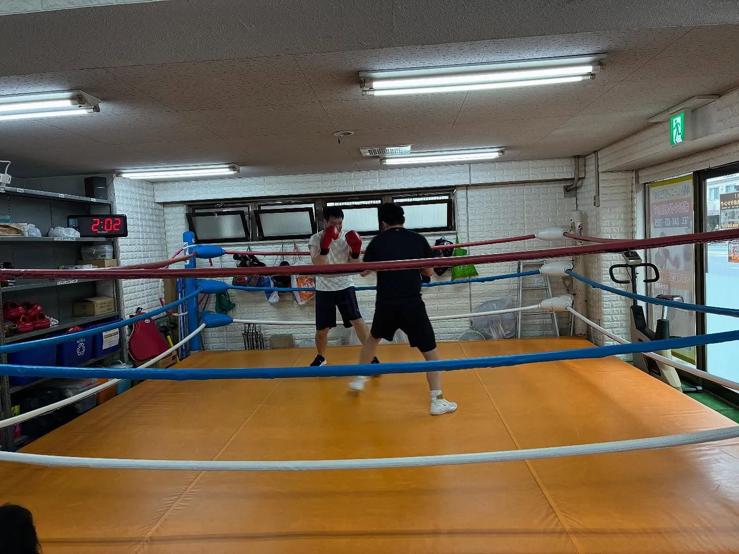 ボクシングディフェンス