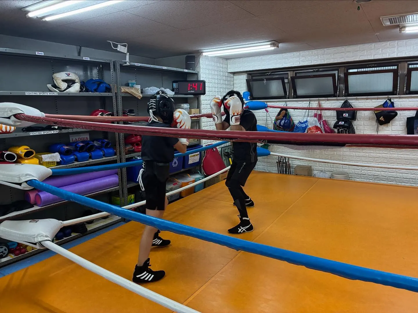 ボクシングディフェンスブロック