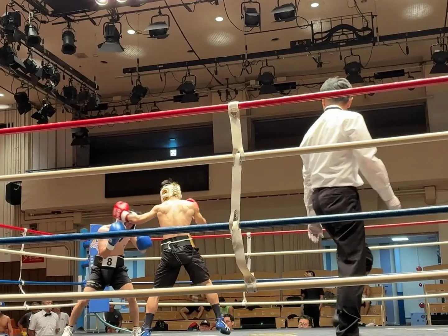 プロテスト合格しました！