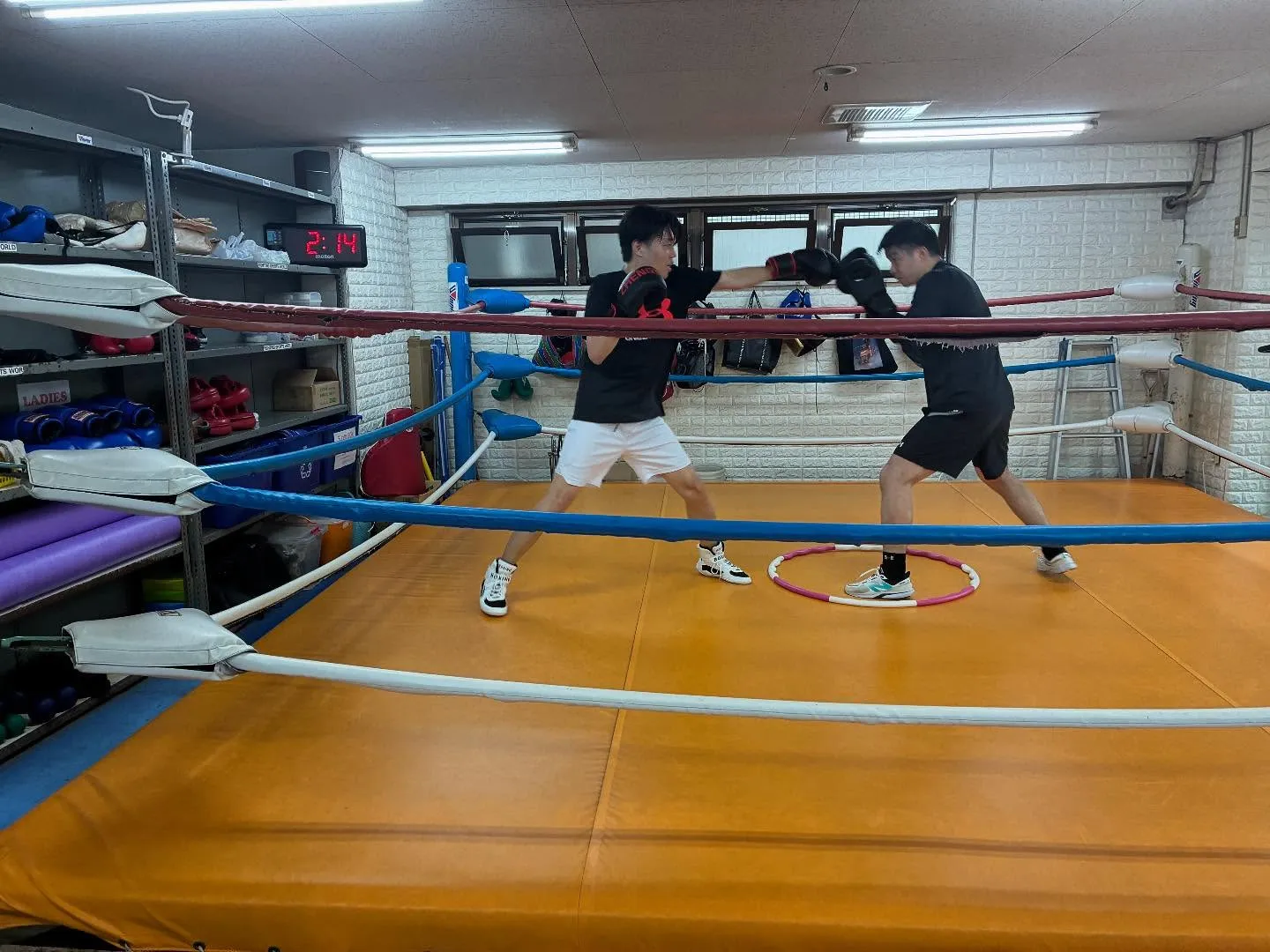 マスボクシング