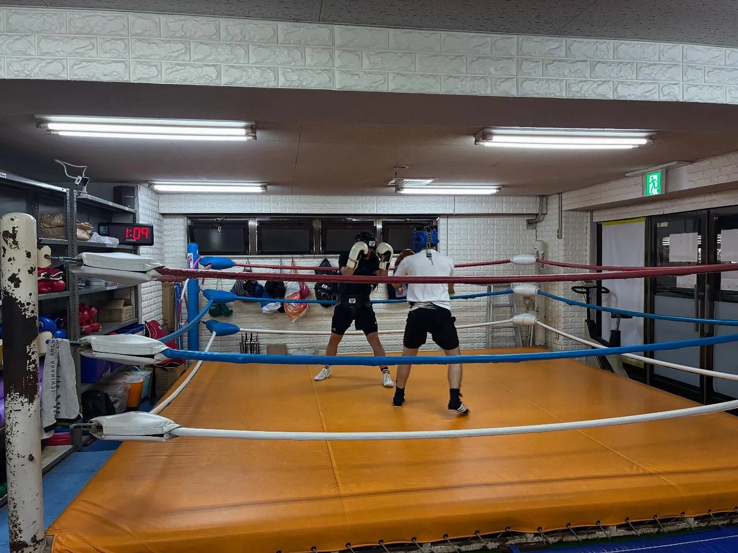 マスボクシング