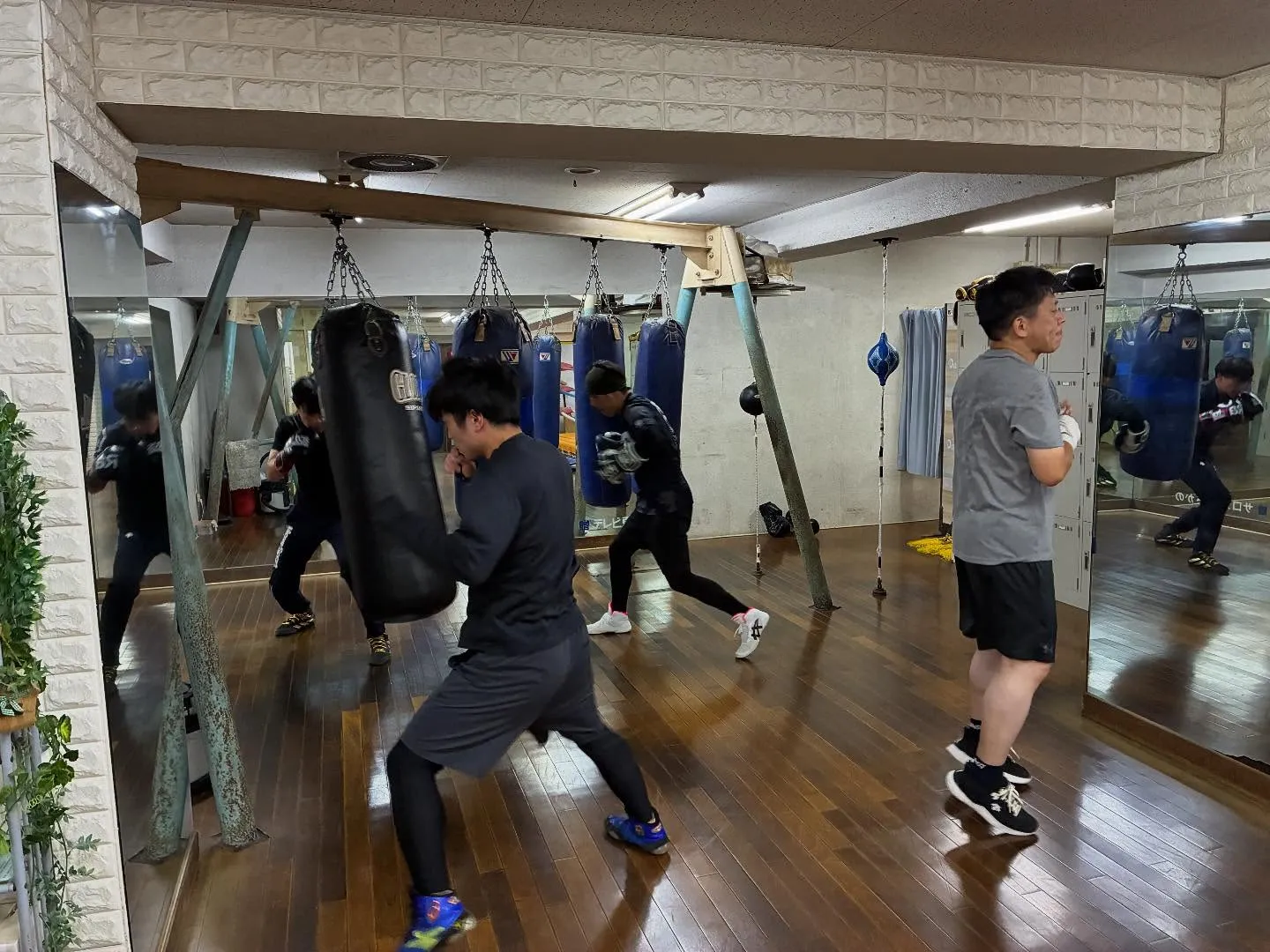 マスボクシング