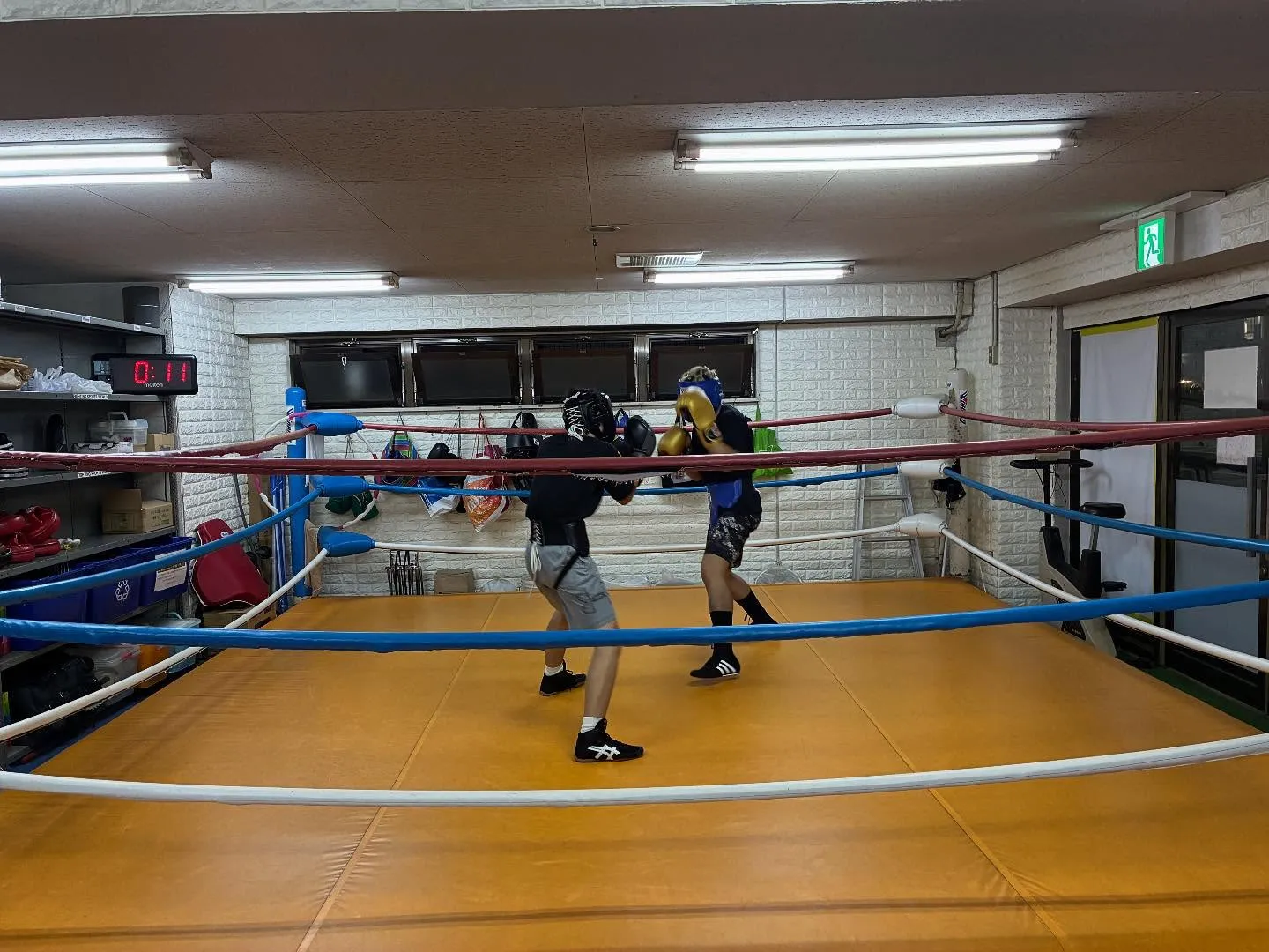 マスボクシング