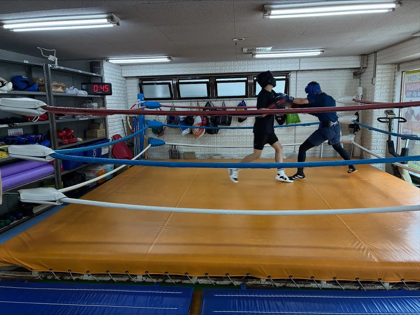 マスボクシング