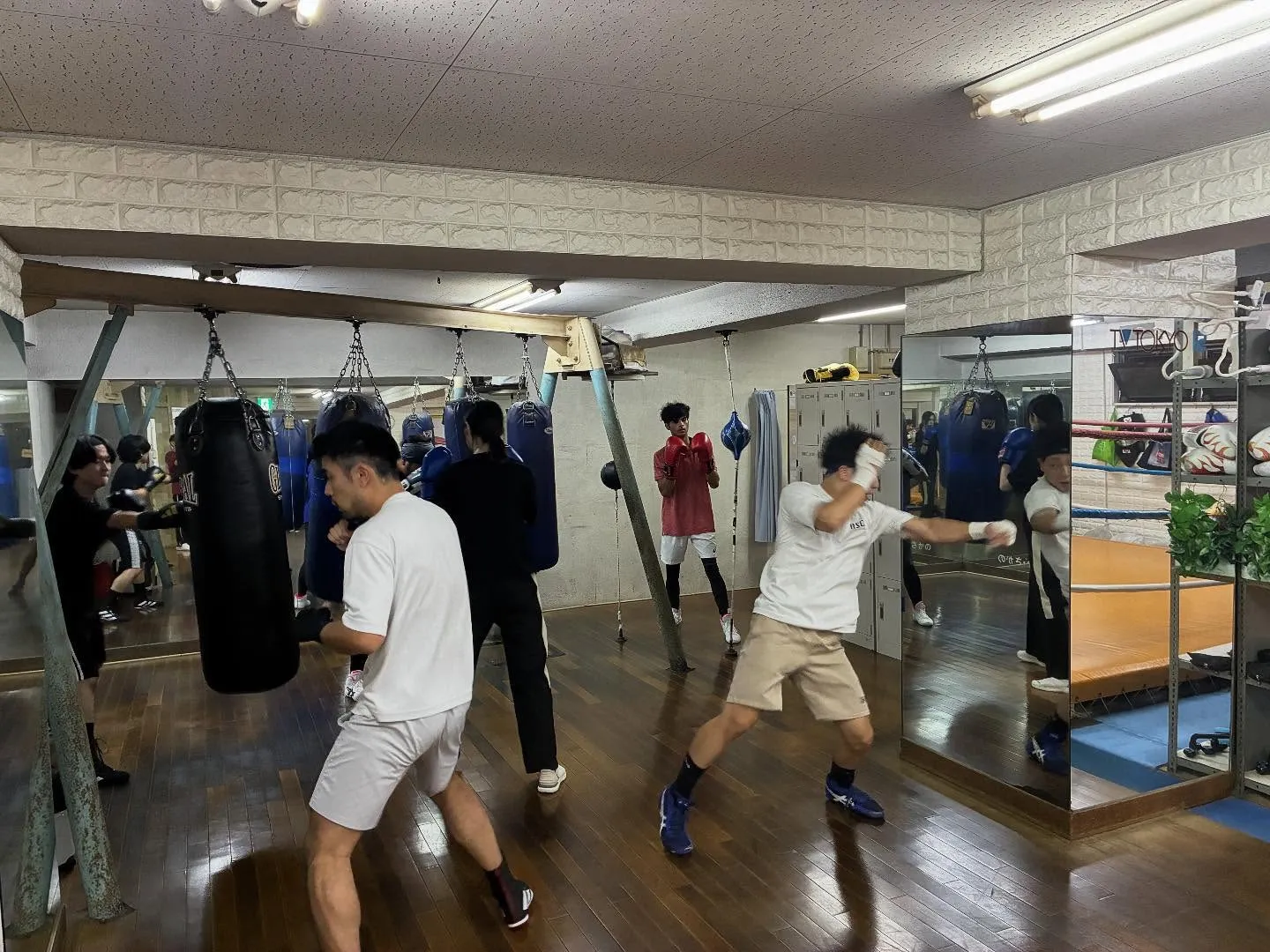 マスボクシング