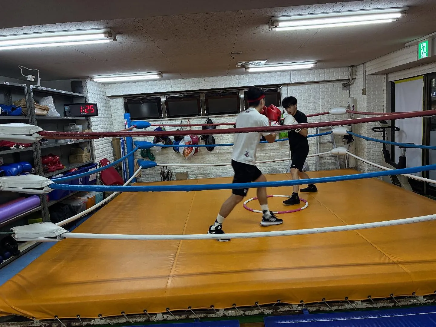 マスボクシング