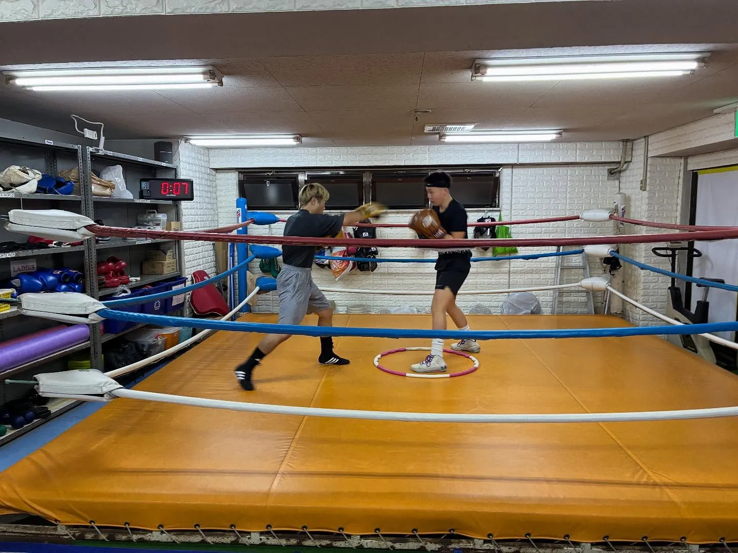 マスボクシング