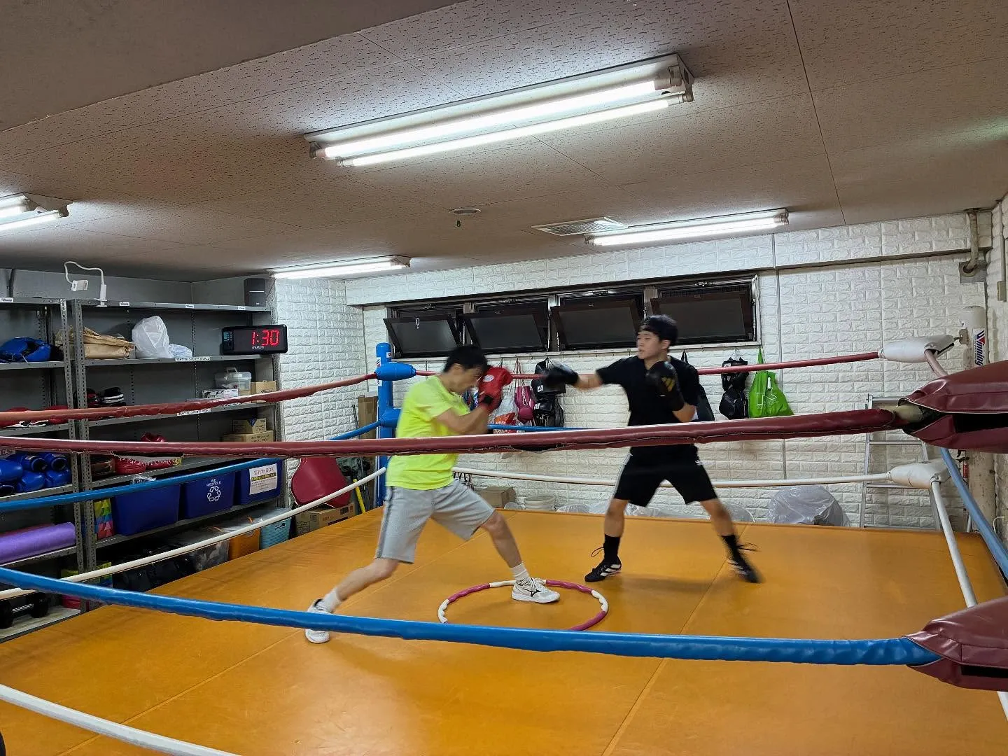 マスボクシング