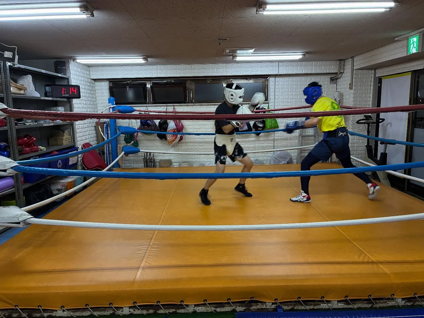 マスボクシング