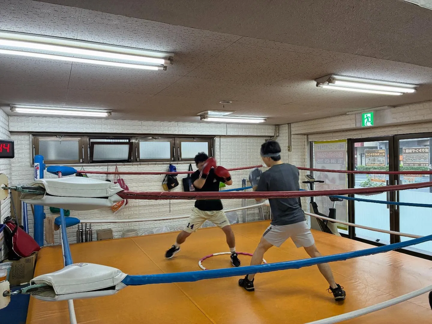 マスボクシング