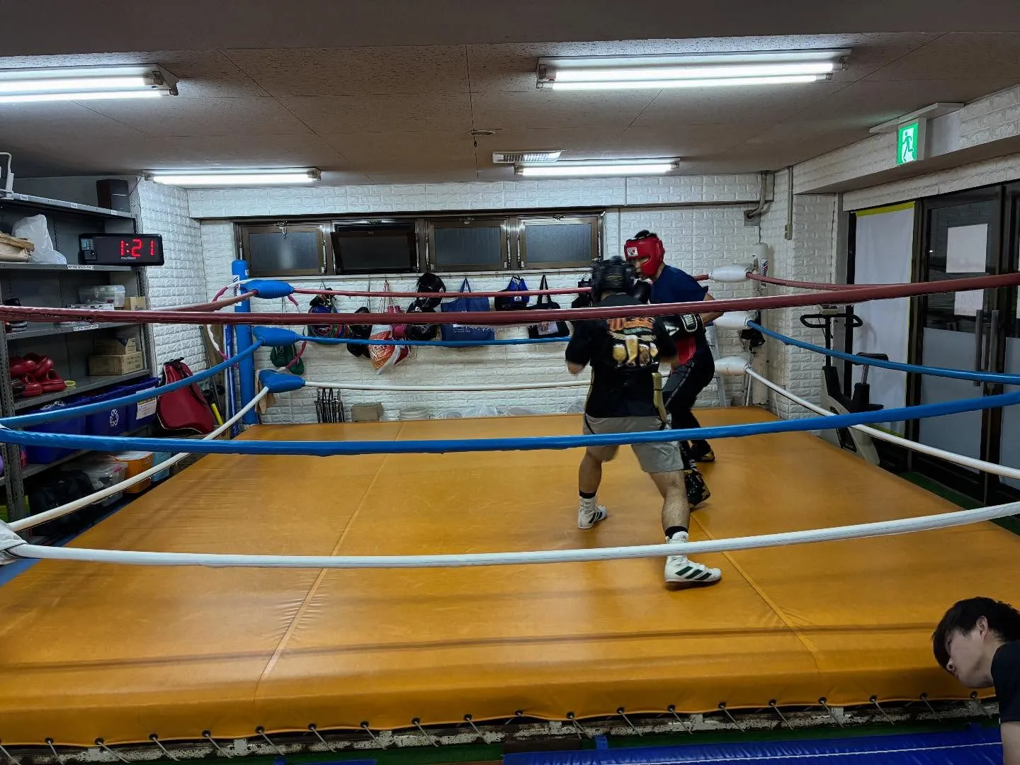 マスボクシング