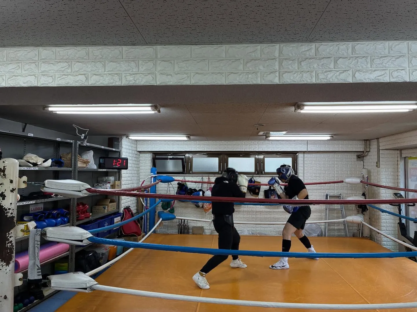 マスボクシング