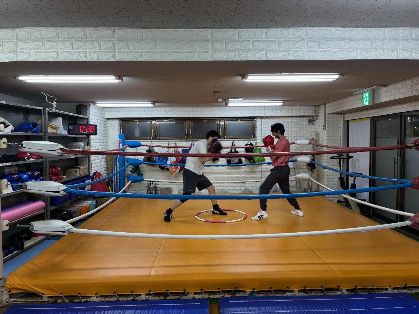 マスボクシング