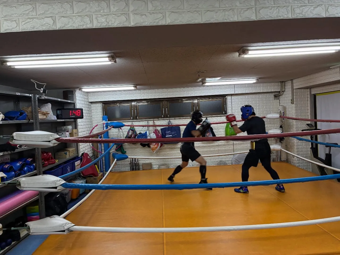 マスボクシング