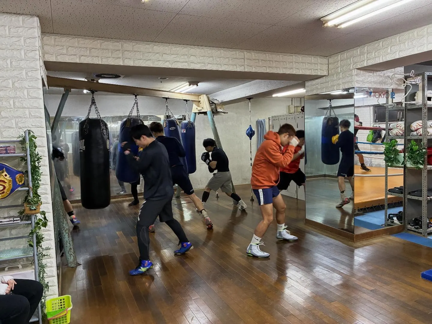 キッズボクシング