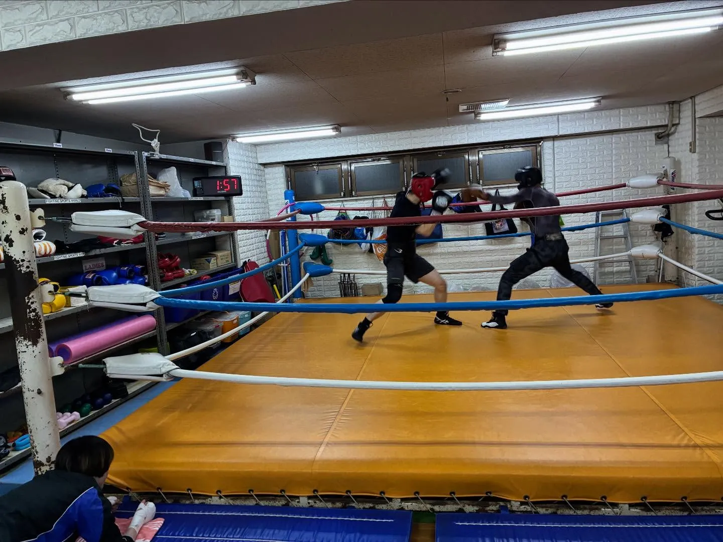 キッズボクシング