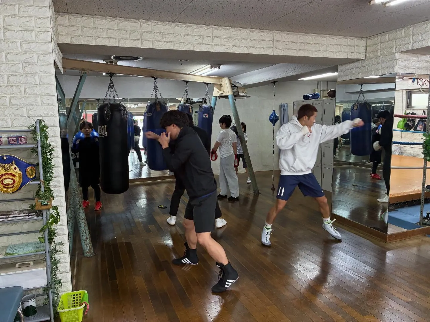 マスボクシング