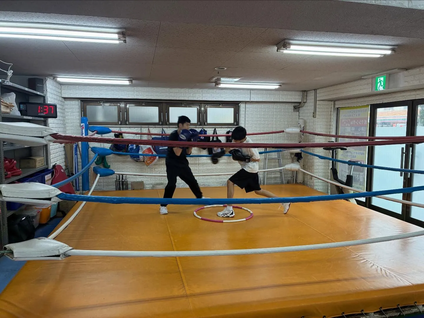 マスボクシング