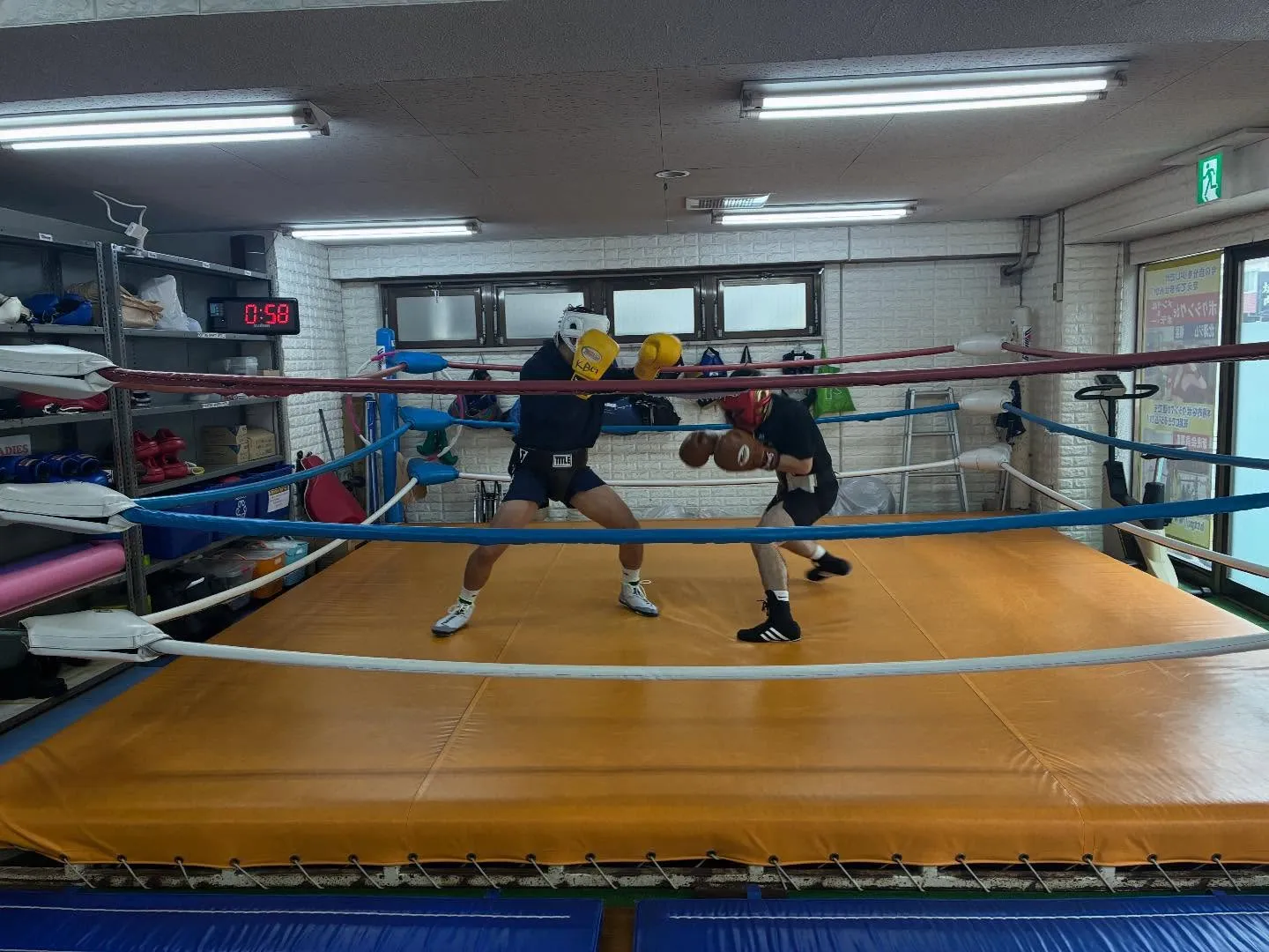 マスボクシング