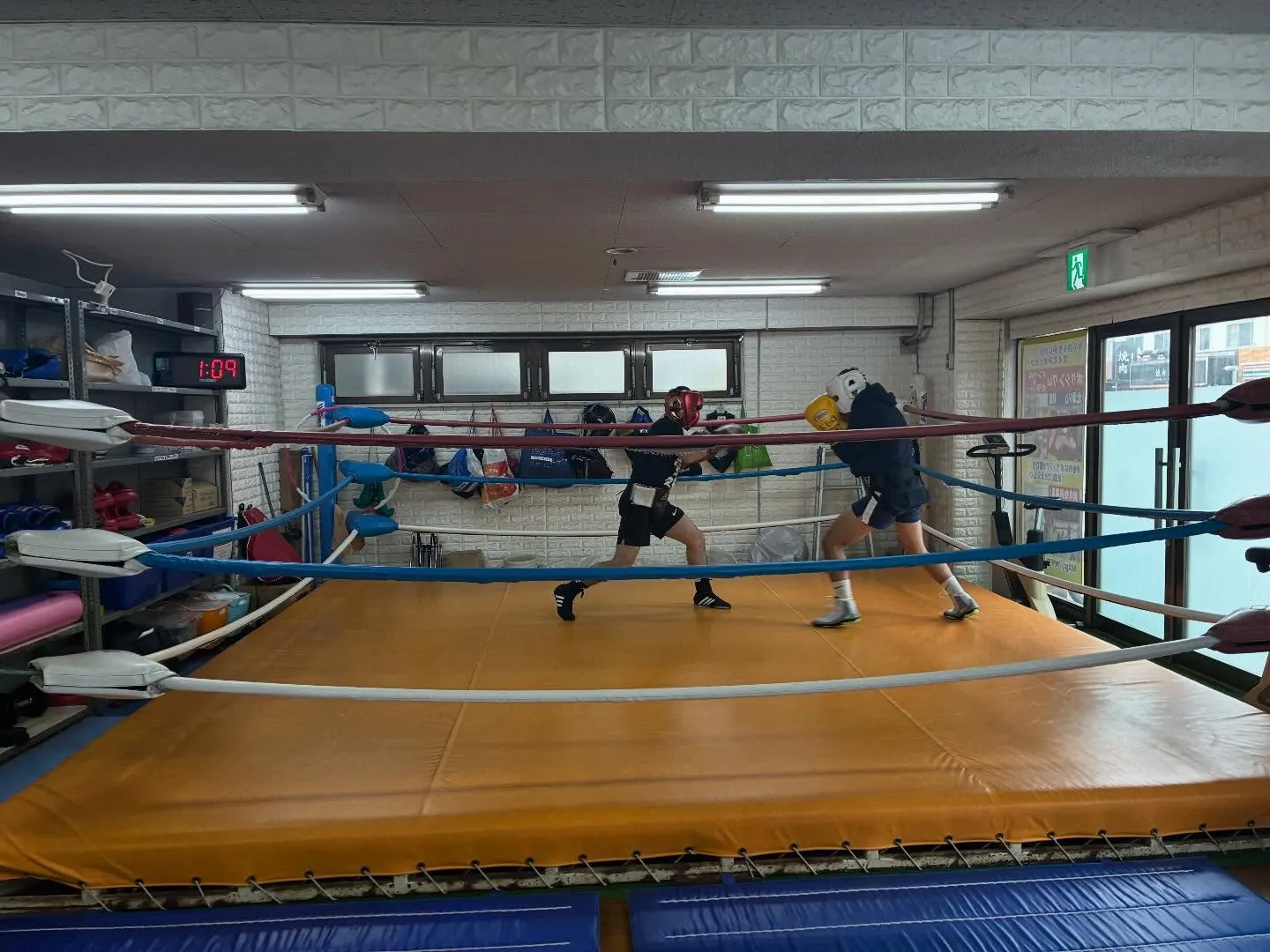 マスボクシング