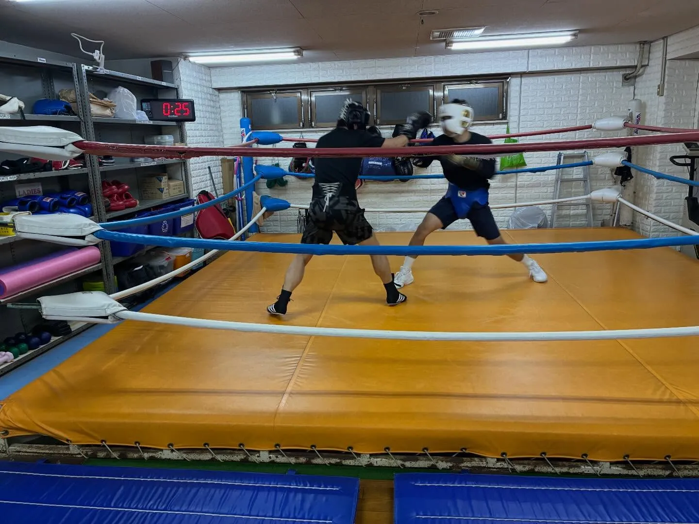 マスボクシング