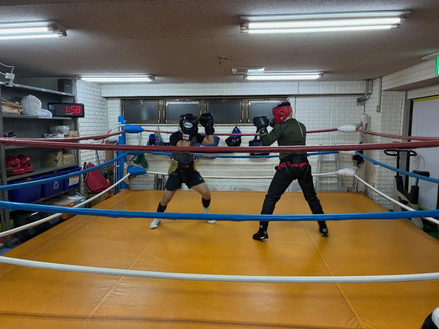 マスボクシング