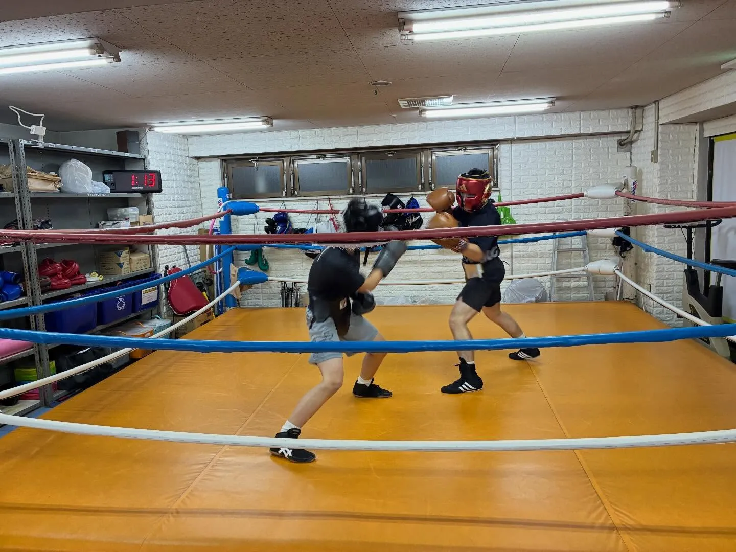 マスボクシング