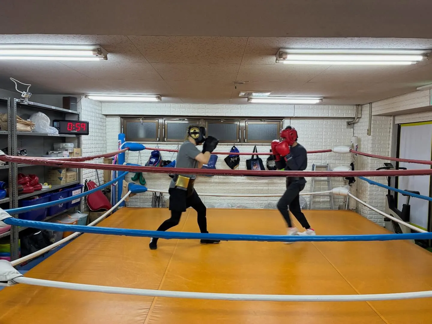 マスボクシング