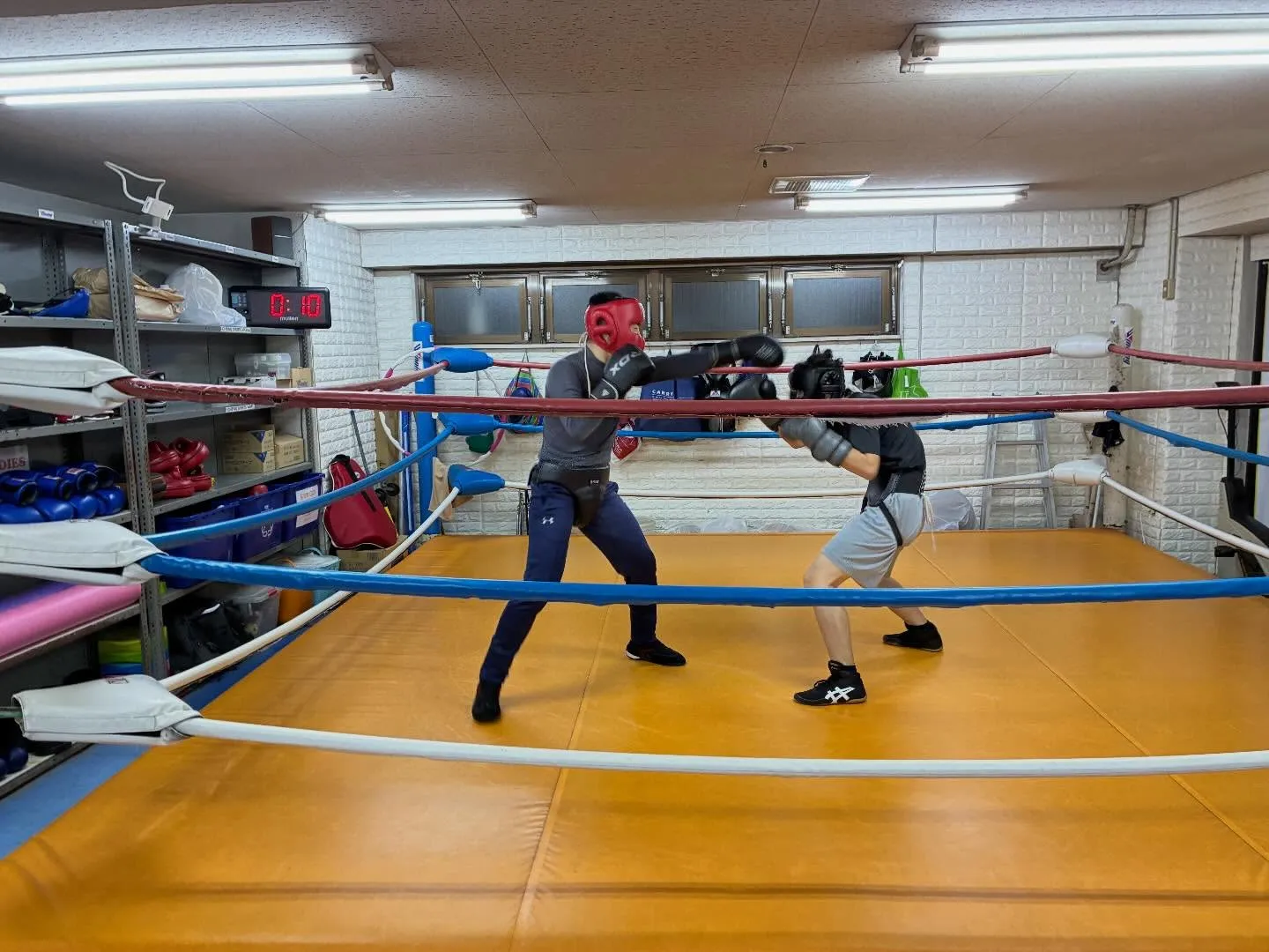 マスボクシング