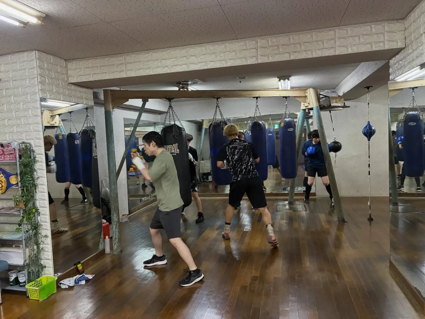 パンチングボールダブル