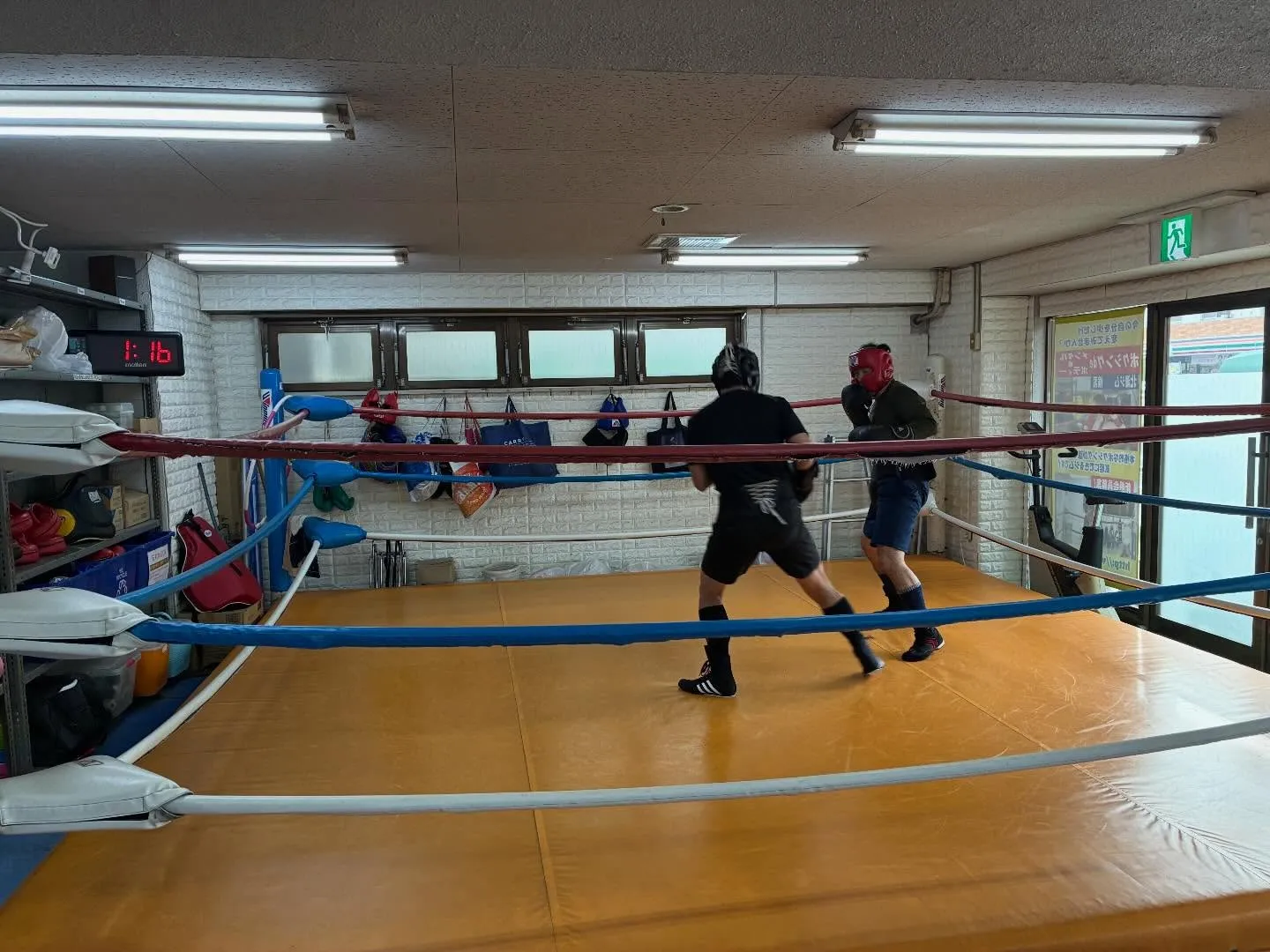 マスボクシング