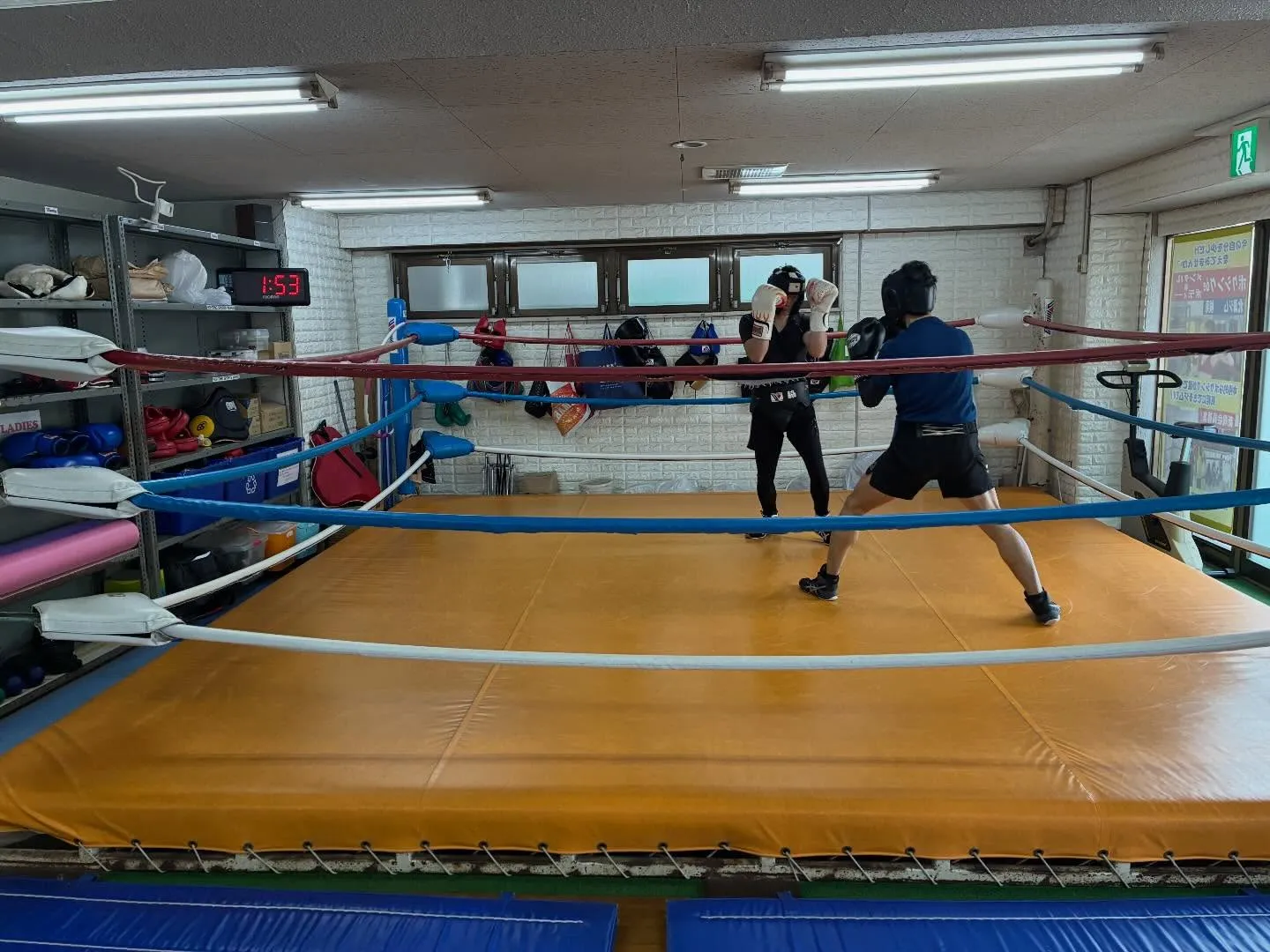 マスボクシング