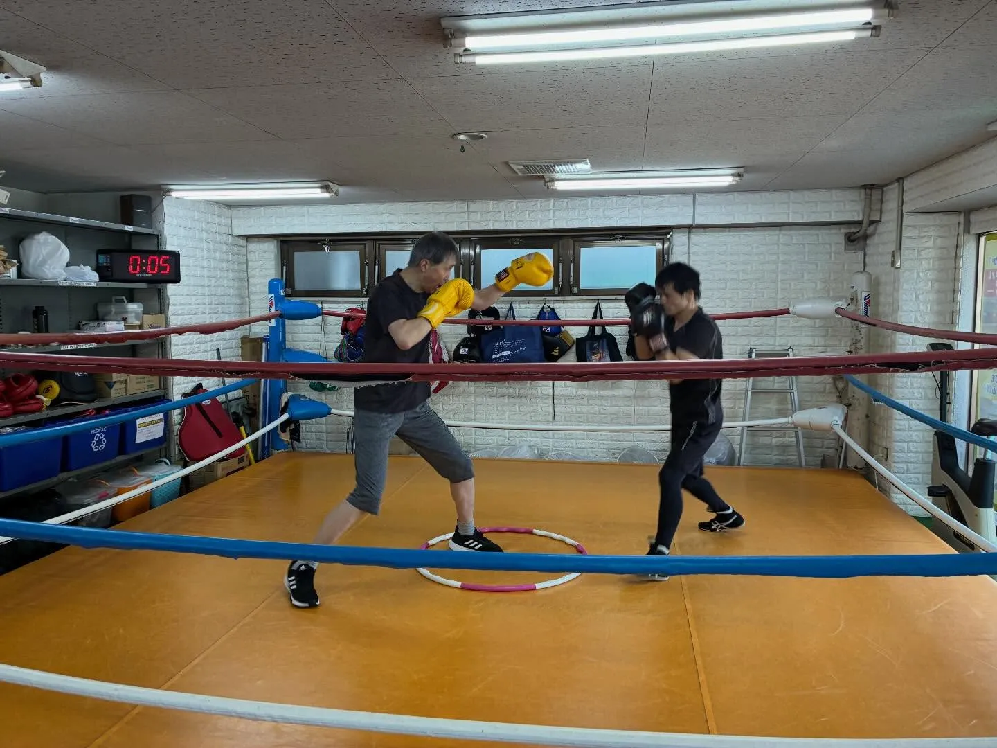 マスボクシング