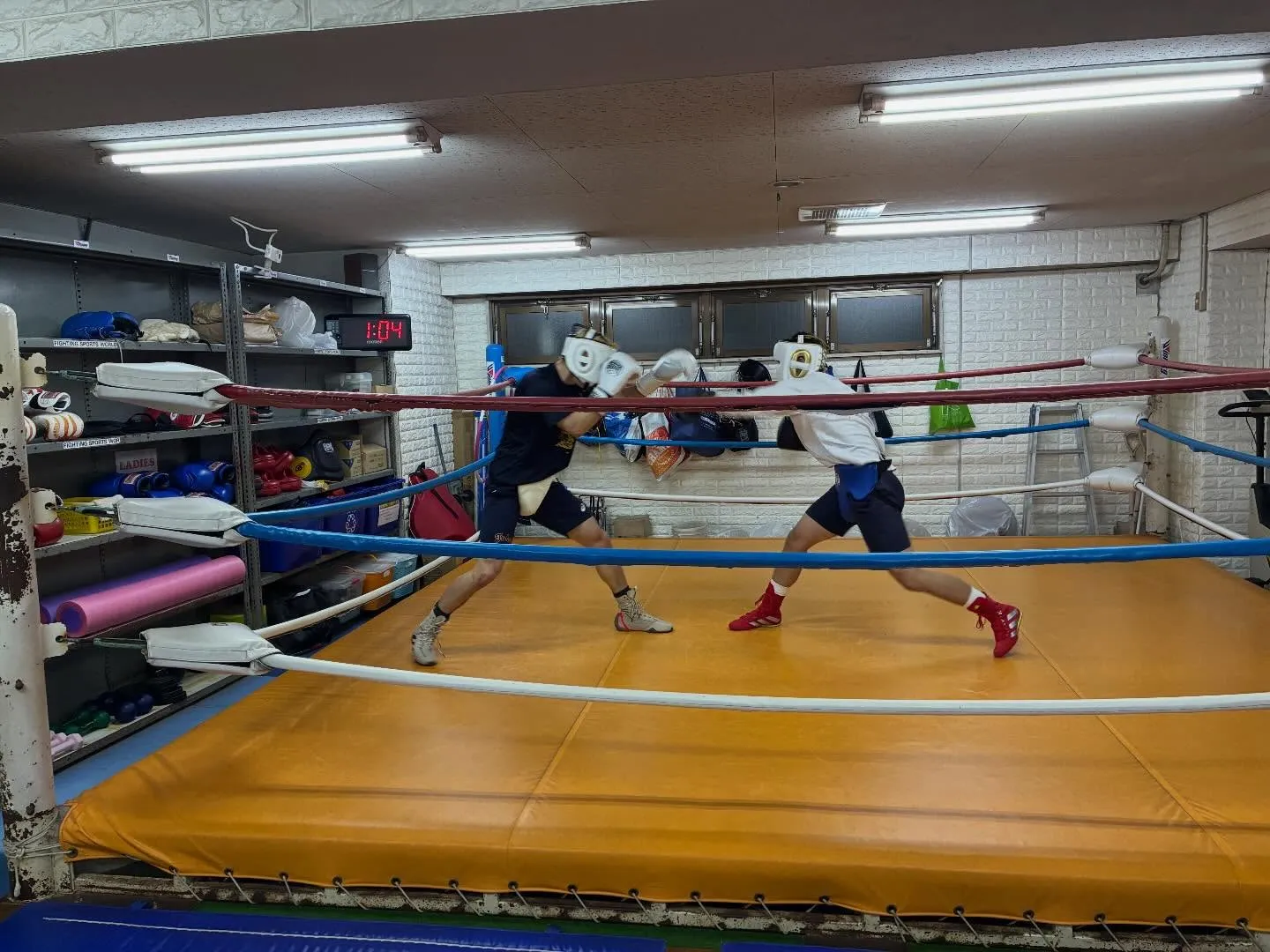 マスボクシング