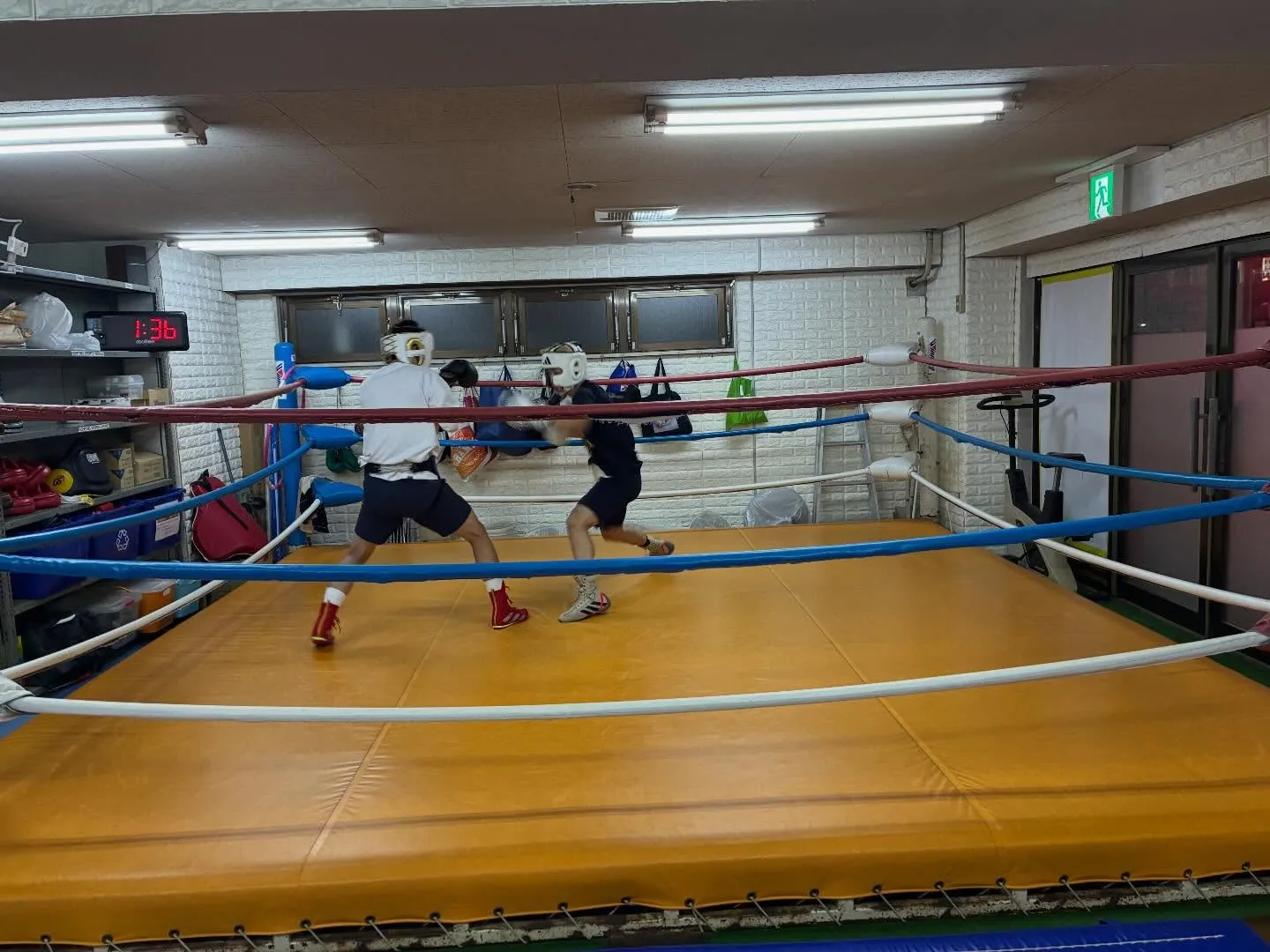 マスボクシング