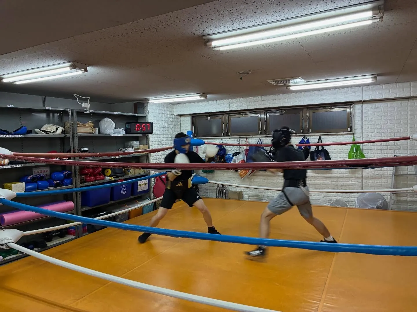 マスボクシング！