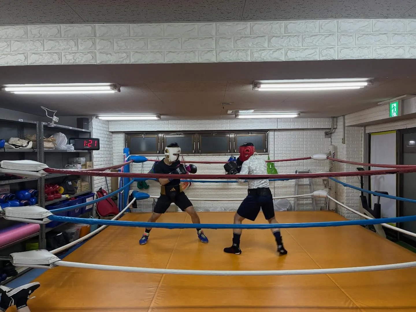 マスボクシング！