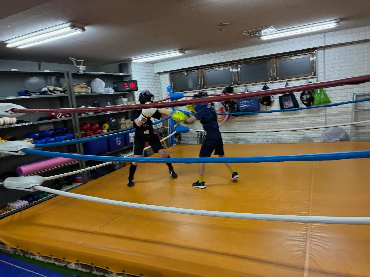 キッズスパーリング