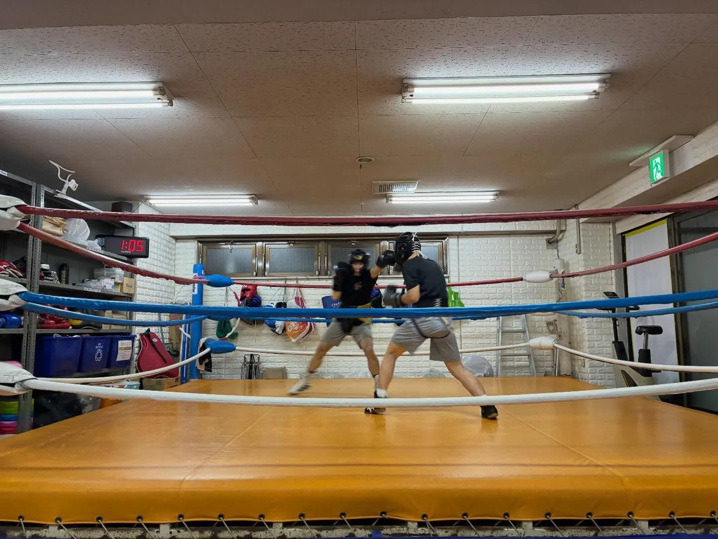 マスボクシング