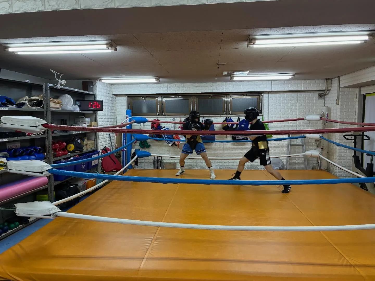 マスボクシング