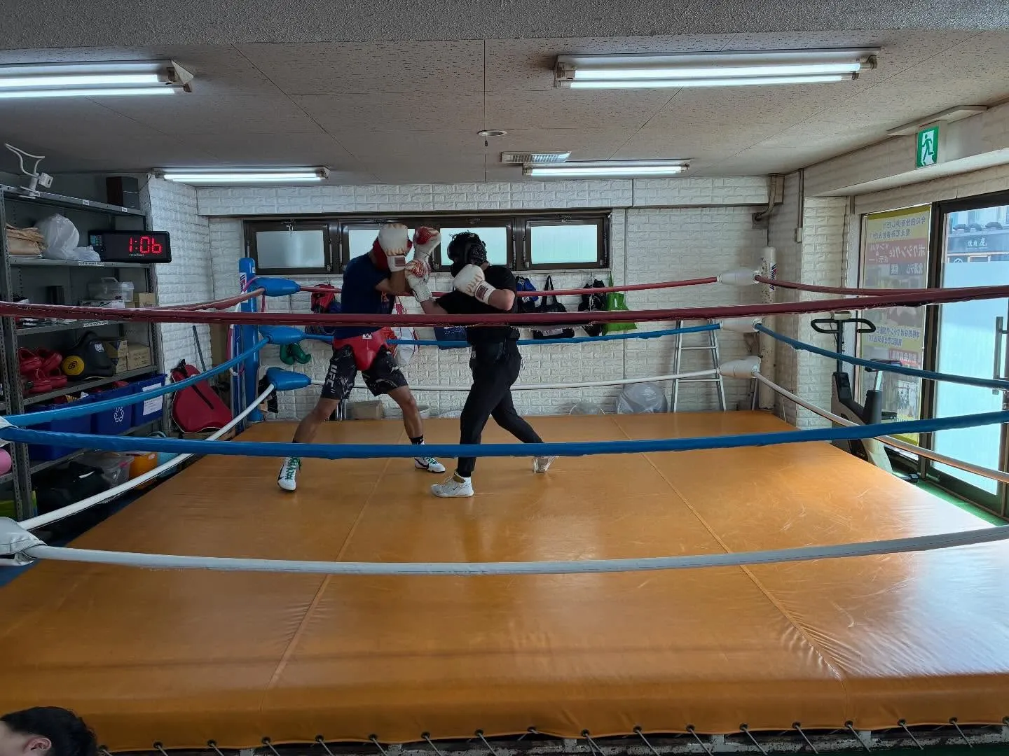 マスボクシング