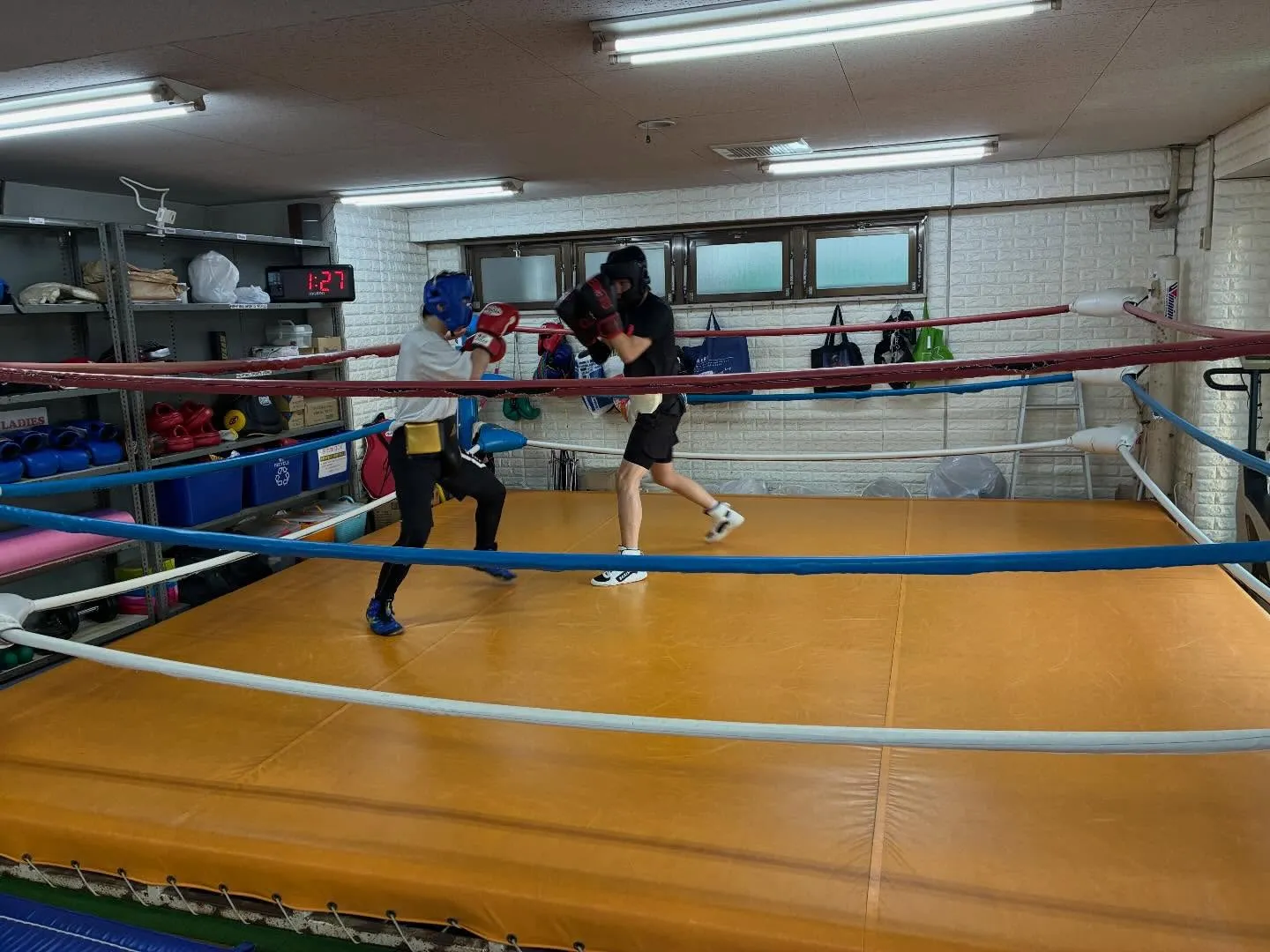 マスボクシング