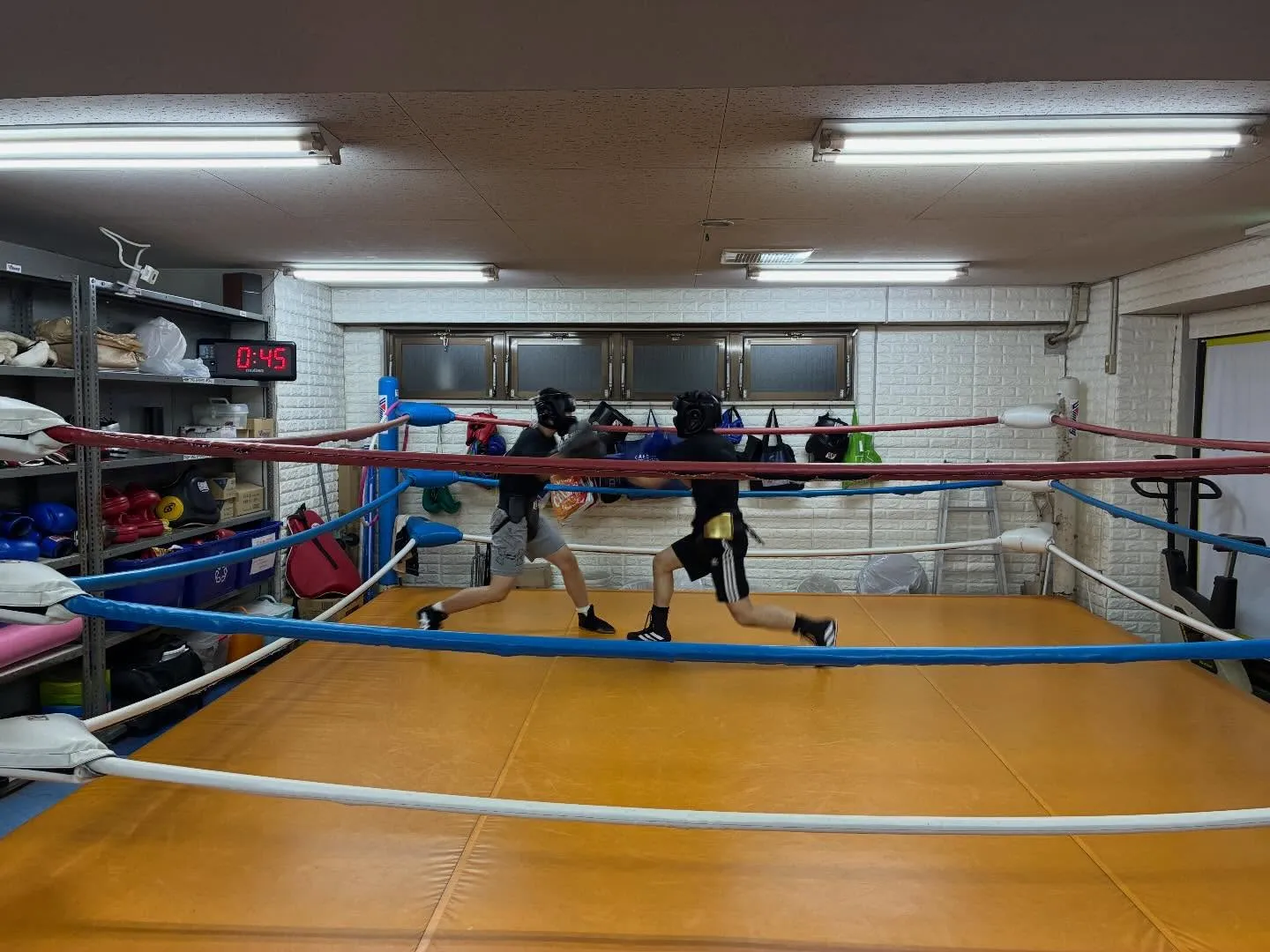 マスボクシング