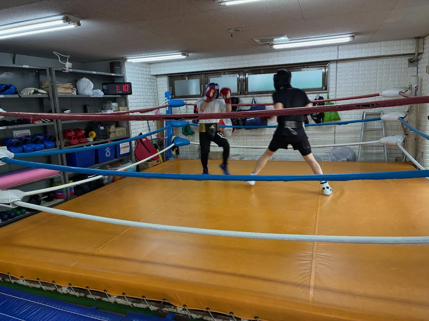 マスボクシング