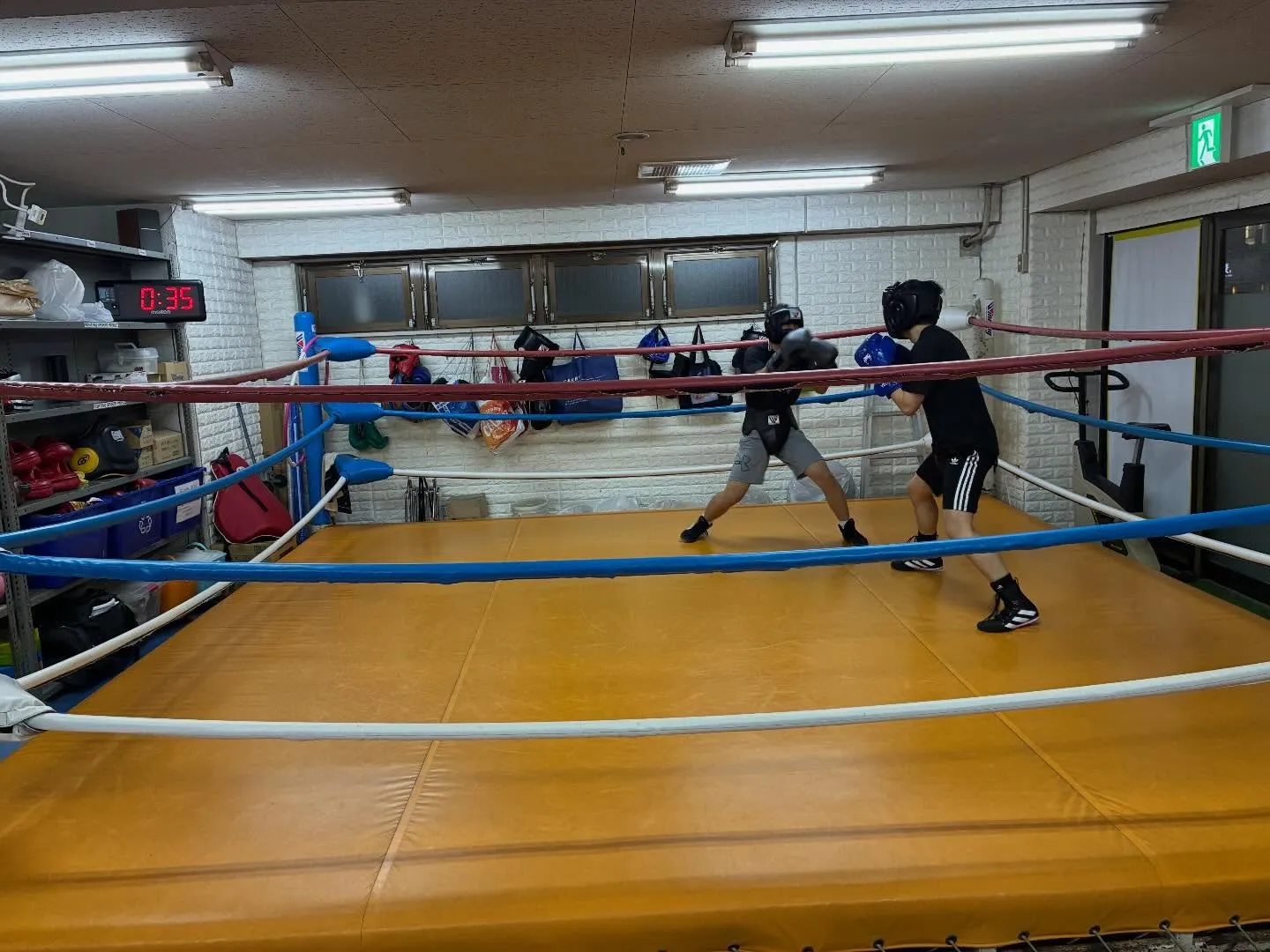 マスボクシング